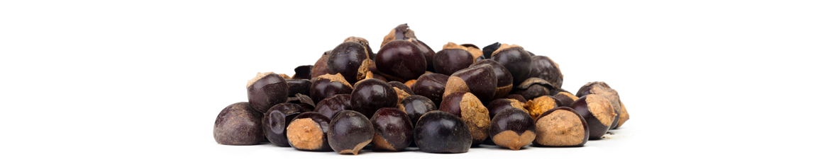 Guarana